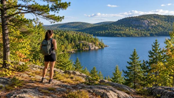 Découvrez la nature sauvage du Parc de la Gatineau près de la ville
